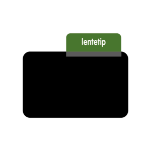 ProtopS® Lentetip