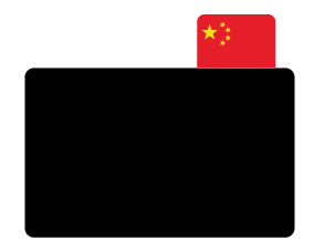 ProtopS, China